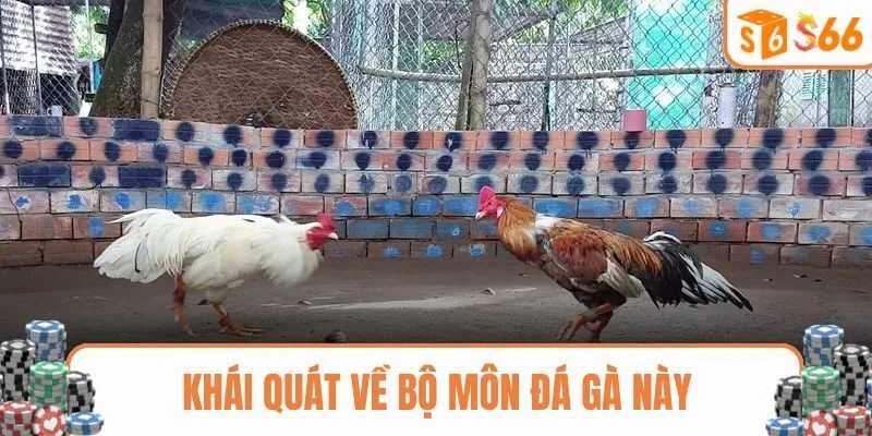 Khái quát về đá gà cựa sắt trực tuyến